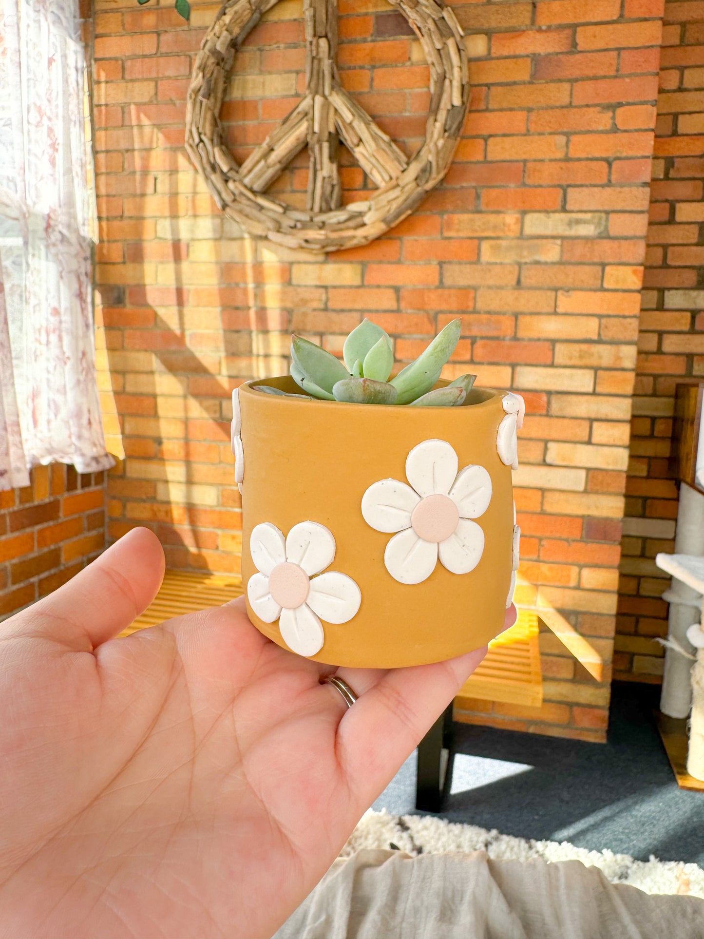 daisy planter